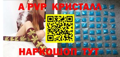 гашик Донской