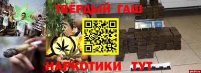 прущие грибы Гусиноозёрск