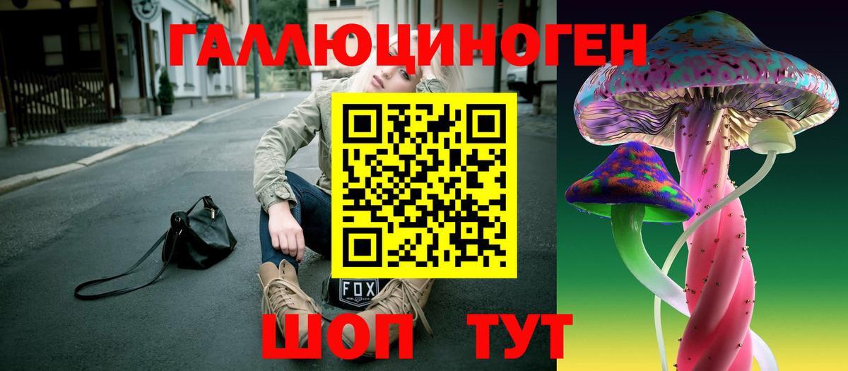 Кудымкар  Псилоцибиновые грибы Cubensis  Вход с VPN 